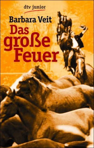 gebrauchtes Buch – Barbara Veit – Das grosse Feuer