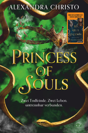 neues Buch – Alexandra Christo – Princess of Souls