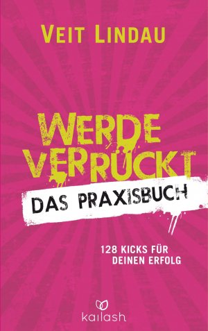 gebrauchtes Buch – Veit Lindau – Werde verrückt - Das Praxisbuch - 128 Kicks für deinen Erfolg