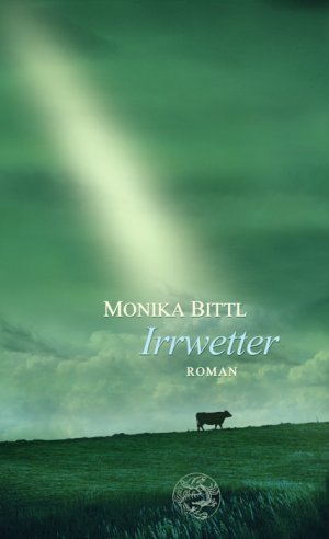 gebrauchtes Buch – Monika Bittl – Irrwetter