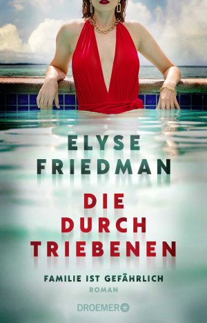 gebrauchtes Buch – Elyse Friedman – Die Durchtriebenen - Familie ist gefährlich. Roman | Bitter-böser Familien-Thriller aus Kanada