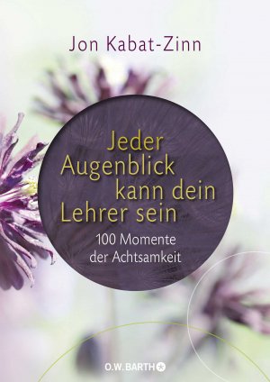 ISBN 9783426292334: Jeder Augenblick kann dein Lehrer sein - 100 Momente der Achtsamkeit