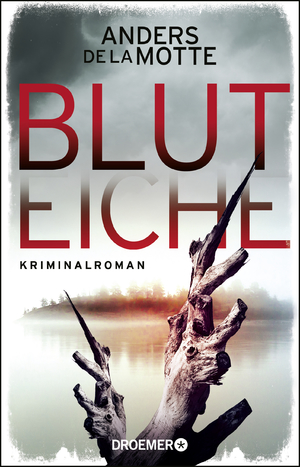 ISBN 9783426307434: Bluteiche