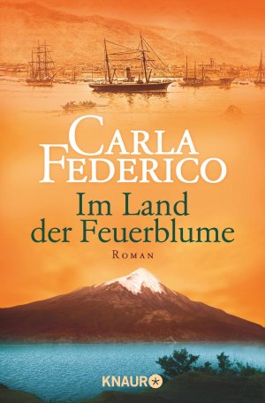 ISBN 9783426504390: Im Land der Feuerblume . Historischer Roman