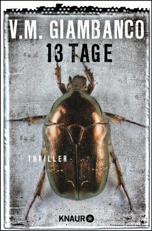 ISBN 9783426515952: 13 Tage - Thriller - bk2136