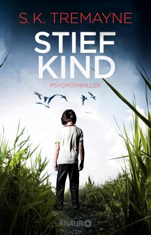 ISBN 9783426516621: Stiefkind