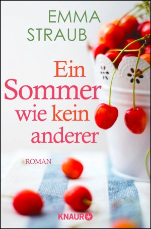 gebrauchtes Buch – Emma Straub – Ein Sommer wie kein anderer *** WIE NEU ***