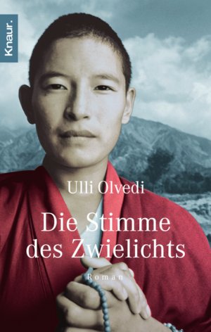 ISBN 9783426621653: Die Stimme des Zwielichts