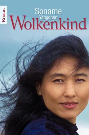 ISBN 9783426779262: Wolkenkind