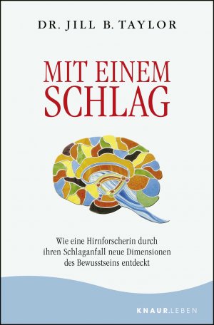 ISBN 9783426878996: Mit einem Schlag
