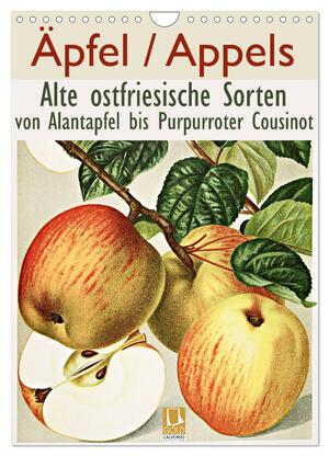 ISBN 9783435976546: Äpfel/Appels. Alte ostfriesische Sorten (Wandkalender 2025 DIN A4 hoch), CALVENDO Monatskalender – Von Alantapfel bis Purpurroter Cousinot