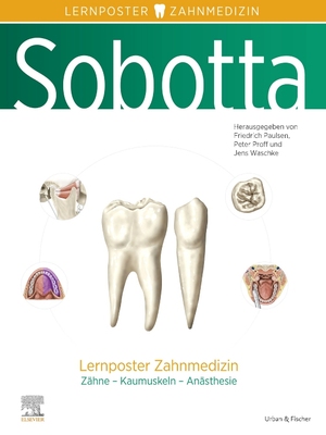 ISBN 9783437411779: Sobotta Lernposter Zahnmedizin