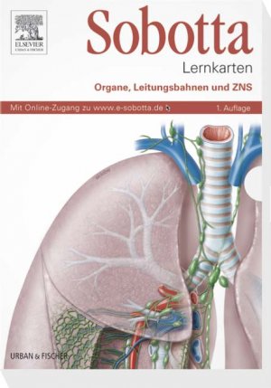 ISBN 9783437413728: Sobotta Lernkarten, Organe, Leitungsbahnen und ZNS – mit Zugang zum Elsevier-Portal