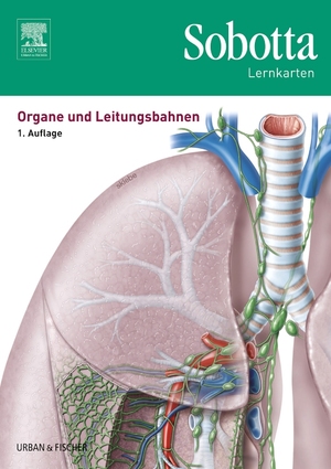 ISBN 9783437429019: Sobotta Lernkarten Organe und Leitungsbahnen – Organe und Leitungsbahnen