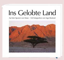 ISBN 9783438044853: Ins gelobte Land