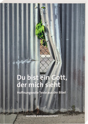 ISBN 9783438048370: Du bist ein Gott, der mich sieht - Hoffnungsvolle Geschichten aus der Bibel