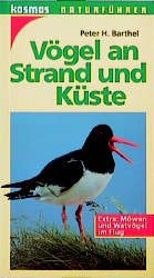 ISBN 9783440064382: Vögel an Strand und Küste. Extra: Möwen und Wattvögel im Flug