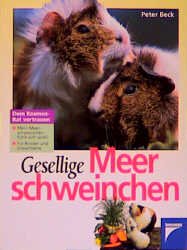 ISBN 9783440070635: Gesellige Meerschweinchen