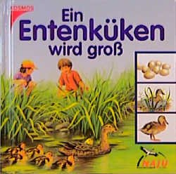 ISBN 9783440080146: Ein Entenküken Wird groß