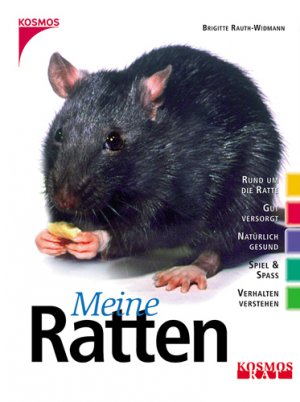 ISBN 9783440080504: Meine Ratten