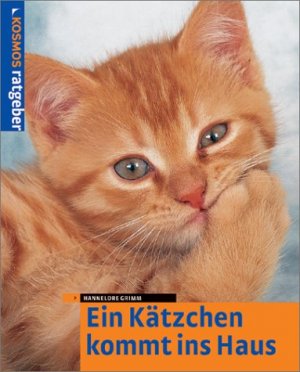 ISBN 9783440089606: Ein Kätzchen kommt ins Haus