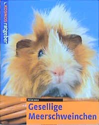 ISBN 9783440089620: Gesellige Meerschweinchen