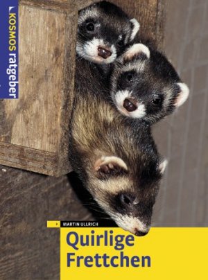 gebrauchtes Buch – Quirlige Frettchen