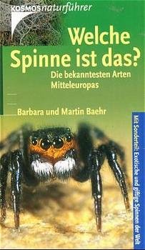 gebrauchtes Buch – Baehr, Barbara; Baehr – Welche Spinne ist das?