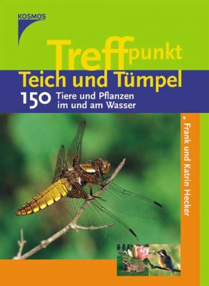 ISBN 9783440093849: Treffpunkt Teich und Tümpel – Tiere und Pflanzen im und am Wasser