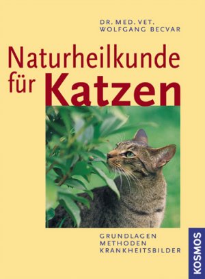 ISBN 9783440098189: Naturheilkunde für Katzen: Grundlagen - Methoden - Krankheitsbilder