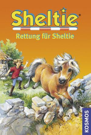 gebrauchtes Buch – Peter Clover – Rettung für Sheltie