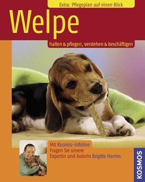 gebrauchtes Buch – Brigitte Harries – Welpe