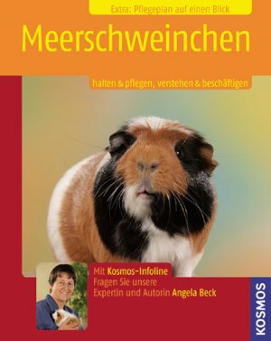 gebrauchtes Buch – Beck, Peter; Beck – Meerschweinchen