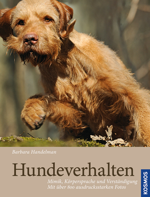 ISBN 9783440120699: Hundeverhalten – Mimik, Körpersprache und Verständigung, mit über 800 ausdrucksstarken Fotos