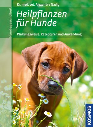 ISBN 9783440127612: Heilpflanzen für Hunde - Wirkungsweise, Rezepturen und Anwendung