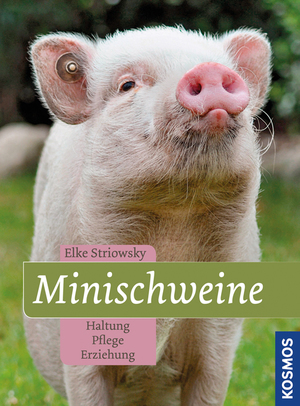 ISBN 9783440132371: Minischweine