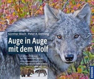 ISBN 9783440132494: Auge in Auge mit dem Wolf - 20 Jahre unterwegs mit frei lebenden Wölfen