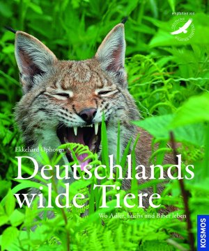 Deutschlands Wilde Tiere Wo Adler Dachs Und Biber Leben