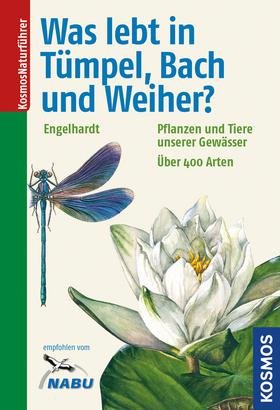 ISBN 9783440147764: Was lebt in Tümpel, Bach und Weiher? - Pflanzen und Tiere unserer Gewässer