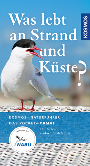 ISBN 9783440153826: Was lebt an Strand und Küste? - 142 Arten einfach bestimmen