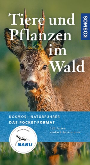 ISBN 9783440153857: Tiere und Pflanzen im Wald - 120 Arten einfach bestimmen