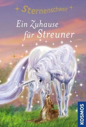 gebrauchtes Buch – Linda Chapman – Ein Zuhause für Streuner