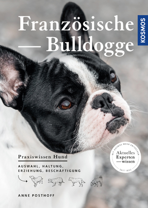gebrauchtes Buch – Anne Posthoff – Französische Bulldogge