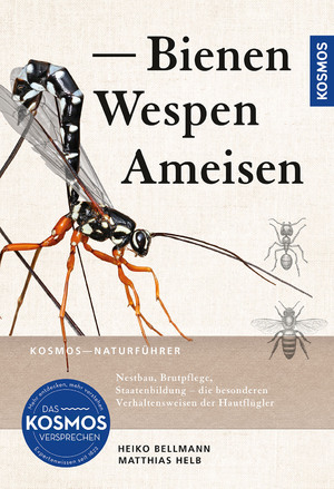 ISBN 9783440179826: Bienen, Wespen, Ameisen - Insekten Mitteleuropas: Nestbau, Brutpflege, Staatenbildung - die besonderen Verhaltensweisen der Hautflügler