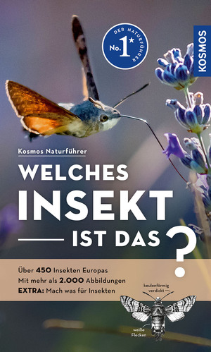 neues Buch – Heiko Bellmann – Welches Insekt ist das? | Über 450 Insekten Europas, mehr als 2.000 Abbildungen EXTRA: Mach was für Insekten - mit Kosmos-plus-App | Heiko Bellmann | Taschenbuch | 272 S. | Deutsch | 2024