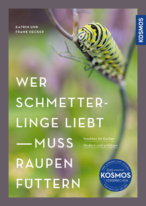 ISBN 9783440181621: Wer Schmetterlinge liebt, muss Raupen füttern / Insekten im Garten fördern und schützen