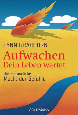 gebrauchtes Buch – Lynn Grabhorn – Aufwachen - Dein Leben wartet