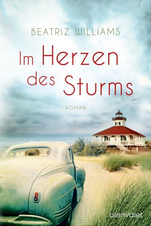 gebrauchtes Buch – Williams, Beatriz und Anja Hackländer – Im Herzen des Sturms: Roman (Die East-Coast-Reihe, Band 1)