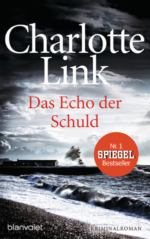 ISBN 9783442383542: Das Echo der Schuld – Kriminalroman