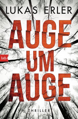 gebrauchtes Buch – Lukas Erler – Auge um Auge